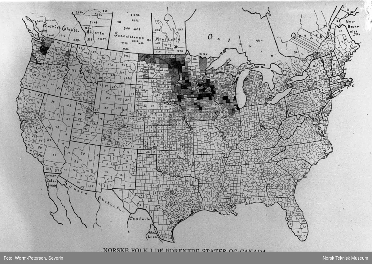 Kart over USA; grafisk fremstilling av nordmenn i USA og Canada