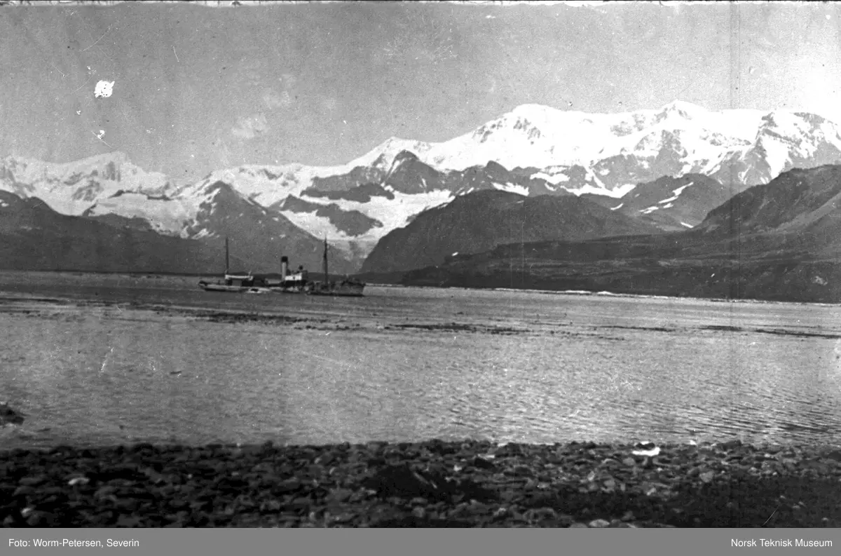 Hvalfangst
