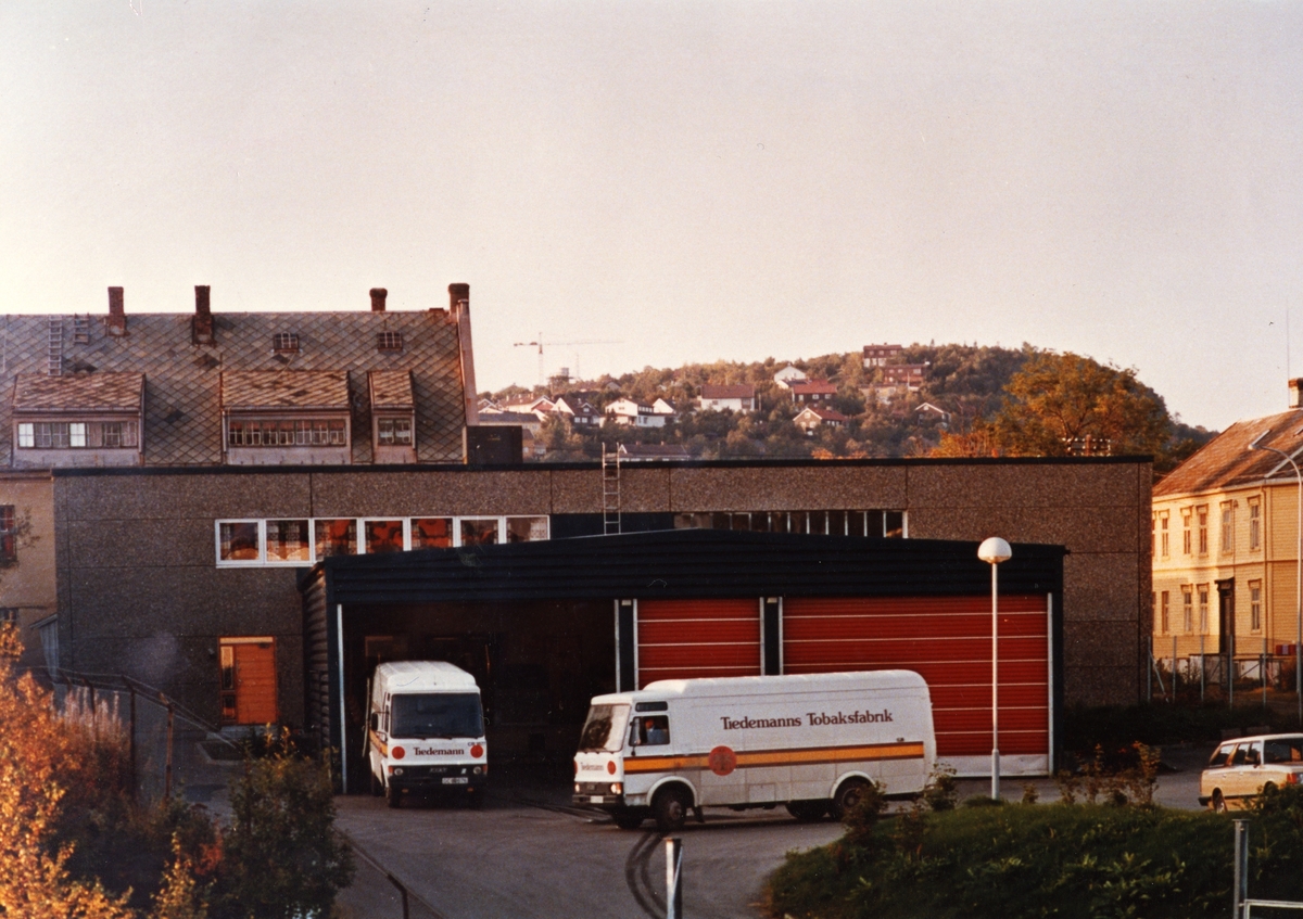 Varebiler fra Tiedemann i Trondheim.