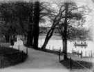 Svartån, tre personer i en roddbåt.
Stora Holmen  och Stadsparken.