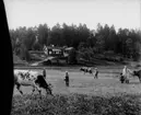 Familjegrupp 4 personer, betande kor på ängen.
Sommarstugan i bakgrunden.
Fotograf Sam Lindskogs familj.