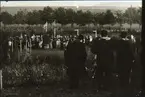 Planteringsförbundets park. Dansbanan vid 1898 års fest. De tre i förgrunden är fr.v. handlanden Gustaf Andersson, handl. N. Ekman och direktören Adolf Elliot.