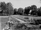 Utsikt med Göksholms herrgård i bakgrunden.