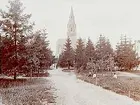 Olaus Petrikyrkan och Sofiaparken.