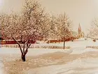 Oskarsparken. Nikolaikyrkan och Stortorget i bakgrunden.
Vinterbild.