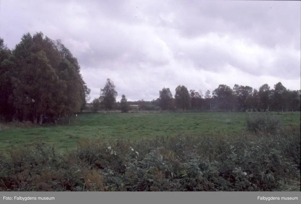 Rogestorp. Hallonflickans fyndplats.