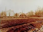 Örebro Försörjningsanstalt, tvåvånings sjukhusbyggnader.