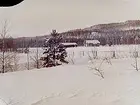 Kungshatt.
Envånings bostadshus med ekonomibyggnad.