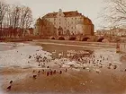 Örebro Slott och Kanslibron.
Svanar och änder i ån.