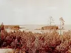 Utsikt över Södra Essundet.
Beställningnr: AY-434.