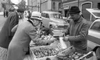 Grönsaker 15 oktober 1966
Stortorget