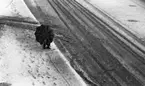 Snön 18 oktober 1967

En man sitter på huk med ett paraply uppspänt över sig på trottoaren i centrala Örebro. Det ligger snö på marken.