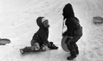 arnträdgård, Tefat är toppen 30 januari 1967

Två barn åker tefat i pulkabacken i Stadsparken. På bilden ser man också en pulka.