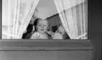Gyttorp 2 23 februari 1967

I ett fönster med gardiner på en dörr ser man en kvinna och ett litet barn.