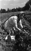 Jordgubbsplockare, 20 augusti 1965

En bild på en leende kvinna som plockar jordgubbar på jordgubbsfältet en solig dag. Hon bär en kortärmad sommarklänning samt har en schalett på huvudet. Vid sidan om henne står en korg som innehåller kartonger att lägga jordgubbar i. I bakgrunden skymtar jordgubbsplockande barn och vuxna.