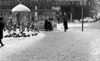 Halkiga pensionärer, 18 december 1965

Det är en vinterdag på Våghustorget i Örebro. Två äldre kvinnor håller varandra under armarna och är på väg över vägen åt Krämaren till. Pumphuset syns till vänster på bilden. Kvinnorna står med ryggen mot kameran. En bil kör förbi framför dem. En annan kvinna kommer gående med framsidan mot kameranl. Till vänster syns en man. Bilar och ytterligare personer syns vid Krämaren. På Krämarhuset syns en skylt med texten 