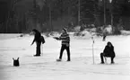 Pimpelfiske i Kilsbergen 11 januari 1965