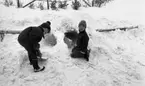 Snögrottor, 4 december 1965.

Två pojkar har skyfflat upp en hög med snö bakom staketet runt gräsmattan. Nu håller de på att gräva ur öppningen till grottan.