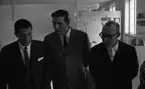 Vinet skall, 3 augusti 1965

Italienska utställningen i Medborgarhuset med bl. a. landshövdingen Valter Åman och Viterbos borgmästare Luigi Crescia. Här beses en utställning i Länsmuseeet.