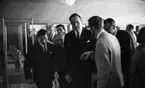 Vinet skall, 3 augusti 1965

Italienska utställningen i Medborgarhuset med bl. a. landshövdingen Valter Åman och Viterbos borgmästare Luigi Crescia. En samling herrar står i utställningslokalen och beser antika föremål med knytning till vinhantering från gamla Etrurien.