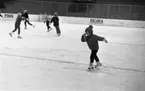 Skridskoskola, 17 januari 1966

Fler flickor på isen
Vinterstadion