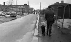 Blind kille 7 april 1966

En blind man promenerar med sin svarta ledarhund - en labrador. Mannen har ryggen mot kameran. Längre fram på gatan i bakgrunden kommer två personer cyklande. Till vänster syns ett företag med stängsel framför.