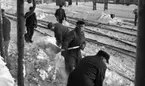 Hallsbergsskottarna 5 januari 1966

Män i arbetskläder skottar bort snö från järnvägsräls,  och skyfflar upp snö på järnvägsvagn