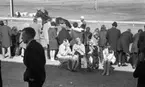 Travet 2 maj 1966

Publik, män, kvinnor och barn, vid travtävling