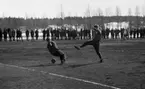 Nordahl slår till, 12 april 1966

Tomas Nordahl spelar fotboll