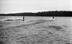 Vattenskidor
17 maj 1966