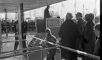 Domus Stormarknad invigning
24 februari 1965