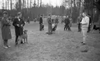 Hunddressyr kurs 22 april 1965