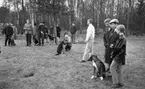 Hunddressyr kurs 22 april 1965