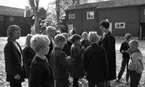 Modsen adopterade av Club 700, Närkes puckarlag i TV, Skollektion i Wadköping
24 september 1965

Wadköping