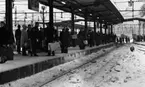 Rusning på Centralen
24 december 1965
Centralstation