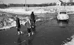 Snömodd och översvämning bland annat i Varberga 1 februari 1966

Två barn och äldre kvinna vadar genom vattensamling på översvämmad väg, där står också en bil