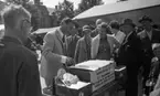 Torgrond 1 juli 1966

Stortorget