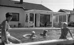 Swimmingpool 30 juli 1966