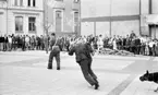 Polisens Hunduppvisning 10 maj 1967