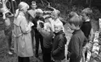 Värhulta Ö 4 juli 1967