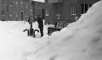 Snöchocken lamslog stan 2 februari 1967.