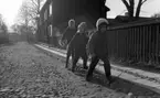 Wadköping, HSB taklagsfest 20 mars 1967