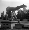 Gymnastikkurs i Hasselfors.
7 augusti 1955