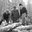 Skogshuggarlägger i Garphyttan. Bildsidan.
5 februari 1955