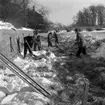 Solaltanen i Centralparken. 
23 februari 1955