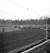 Stock-car tävling i Kumla.
9 maj 1955