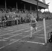 SGU-mästerskap i friidrott.
4 juli 1955.