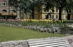 Centralparken