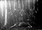 Jatklag, jägare med gevär och en älg.
Första från vänster Helge Lennartsson. Första från höger (stående) Anton Hallberg, född 1890- 03-26 i Ohio, USA, död 1984 i Svennevad.
Fjärde mannen från vänster: Arthur Hallberg, född 1885-08-07 i Ohio, USA, död 1963-08-13 i Svennevad.
Andre mannen från höger kan vara Bertil Stenholm, född 1911-11-08 i Svennevad, död 1999-07-15 i Örebro. Son till Arvid Stenholm.