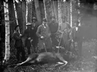 Jaktlag, jägare med gevär och en älg.
Från vänster: Helge Lennartsson, nr.2 troligen Hansson, nr.4 Arthur Hallberg, född 1885 i Ohio, USA. Nr 7 Bertil Stenholm, född 1911 i Svennevad. Första från höger Anton Hallberg (Anita Johanssons far).